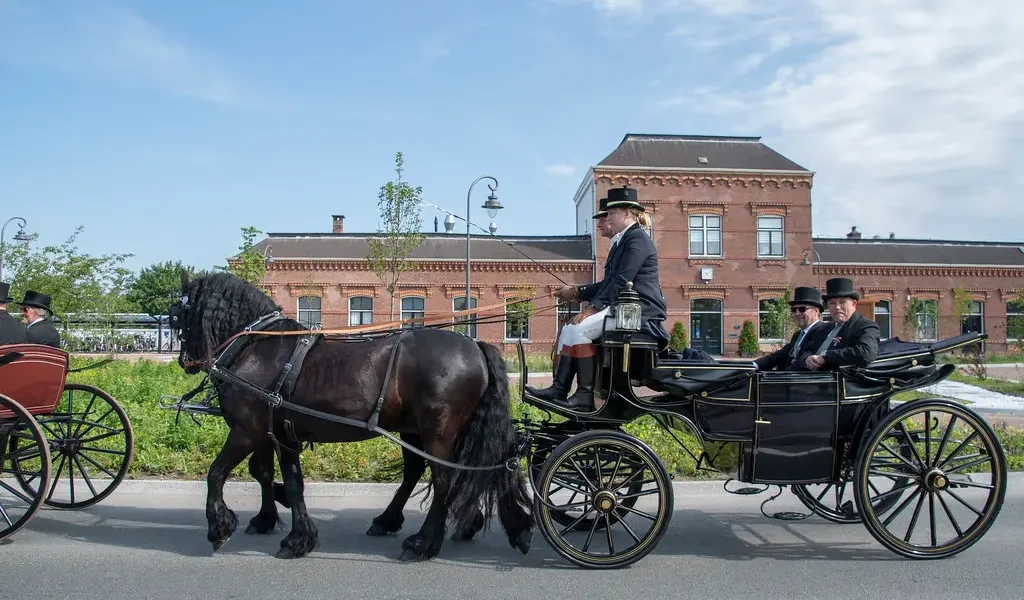 Pinksterfeesten Delfzijl 2019 foto's - 61.jpg